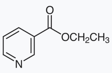 Lab safety is everyone’s responsivity
