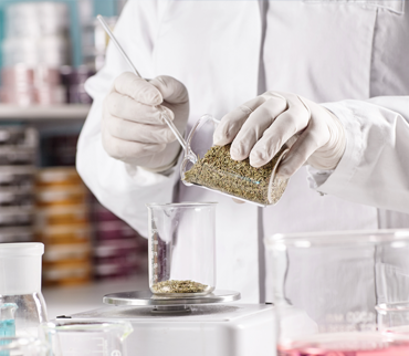 Pathology <br> testing